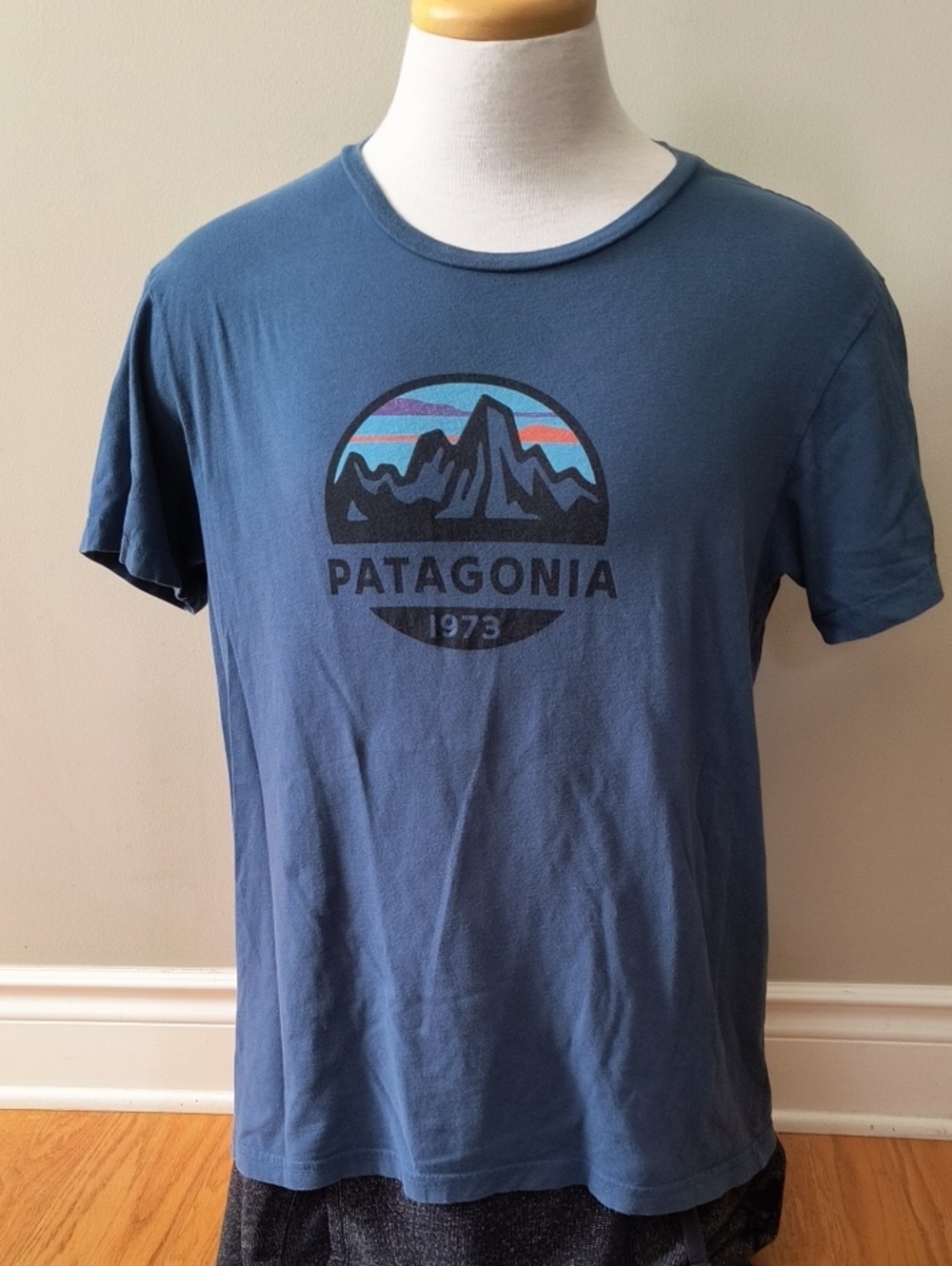 Patagonia Blue Short-Sleeve Graphic Logo Tee, Men's Large